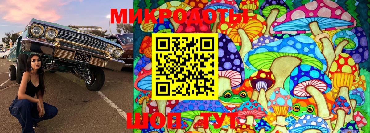 Кандалакша  Псилоцибиновые грибы мицелий  Вход с VPN 