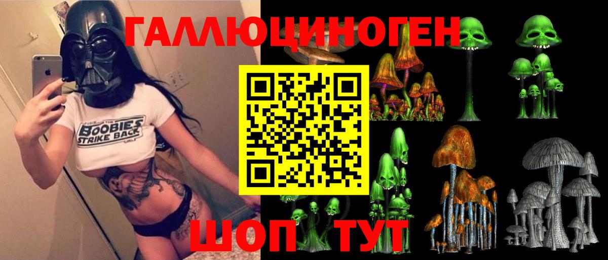 Галлюциногенные грибы MAGIC MUSHROOMS Кандалакша